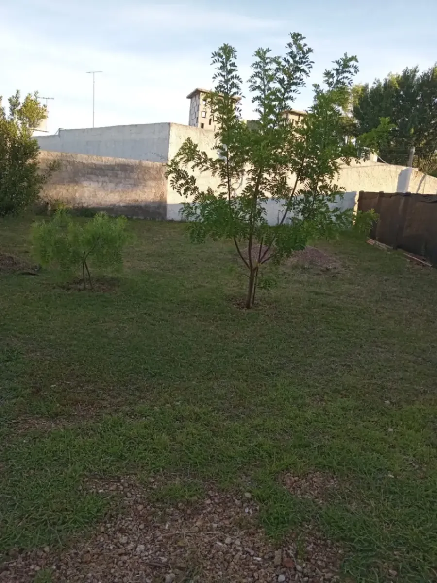 D_837366-MLU104913633504_012026-F.webp